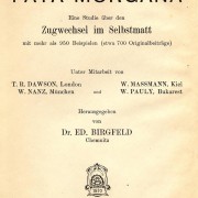 1922 - Fata Morgana, p.2