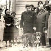 Nicolau Alexandra - 1961 Iugoslavia, Turneul candidatelor