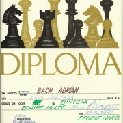 1990 - Bach Adrian - loc I, masa 5, Divizia A echipe